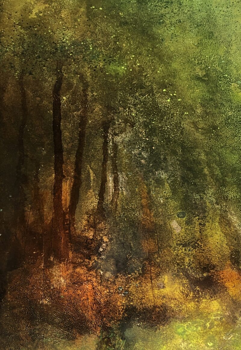 Johnny Wood, Borrowdale